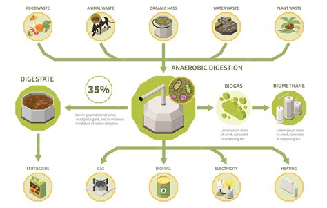 Infografía: Proceso de producción de fertilizante orgánico a partir de residuos agroalimentarios