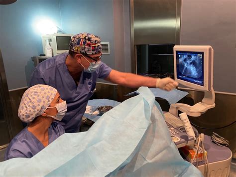 Equipo médico preparando una transferencia embrionaria con ecografía