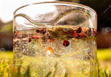Fotografía de un vaso con semillas de marihuana, algunas flotando y otras hundidas.