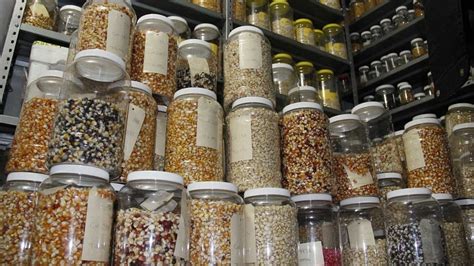 Imagen de un banco de semillas con variedad de paquetes.