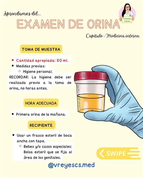 esquema paso a paso sobre cómo recoger correctamente una muestra de orina para análisis clínico