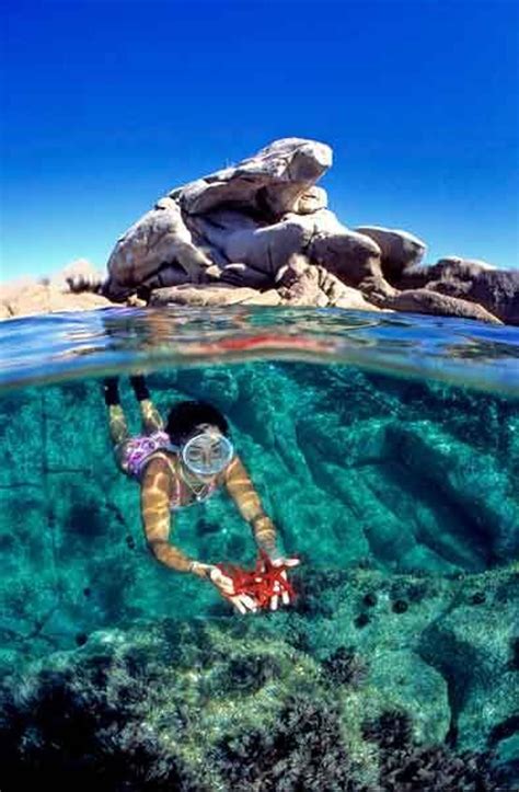 Niños practicando snorkel en una cala de Córcega