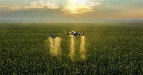 Servicios agrícolas como fumigación o cosecha