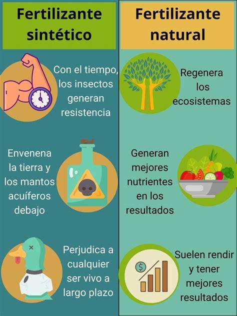 Infografía: Comparación de fertilizantes sintéticos y orgánicos