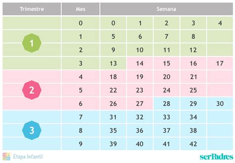 Tabla visual de semanas y meses del embarazo