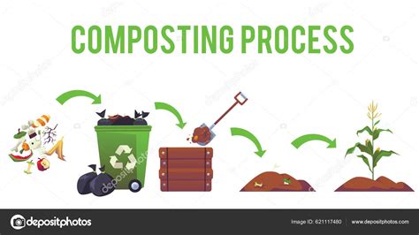 Esquema de las etapas del proceso de compostaje de estiércol
