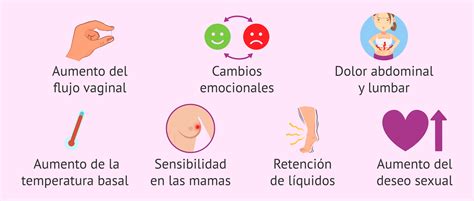 Infografía: Reconocimiento de los principales síntomas de la ovulación