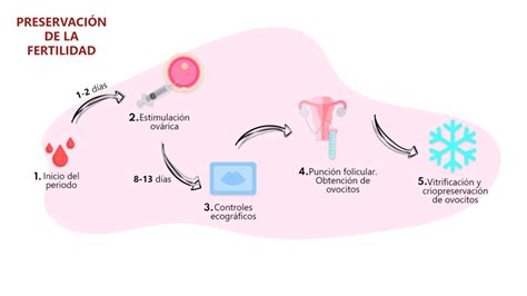 Infografía sobre preservación de la fertilidad en pacientes oncológicos