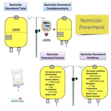 Esquema de los componentes clave en la nutrición parenteral: aminoácidos, lípidos, glucosa, electrolitos, vitaminas y oligoelementos.