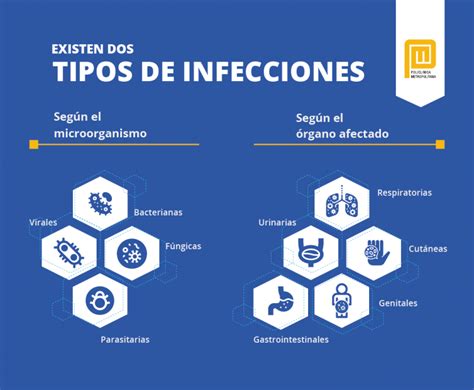 Infografía sobre los riesgos de infecciones virales durante la gestación
