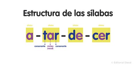 Esquema de división silábica de la palabra pediatra en tres partes: pe-dia-tra