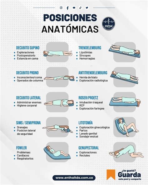 Infografía que muestra las tres posiciones de reclinación EasyRecline y el ajuste del reposacabezas en V
