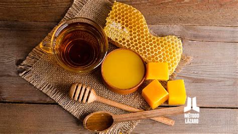 Infografía mostrando los ingredientes clave (caléndula, óxido de zinc, cera de abeja) y sus funciones