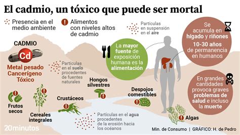 Infografía: Impacto del cadmio en la salud humana y fuentes de exposición (alimentos, tabaco, fertilizantes)