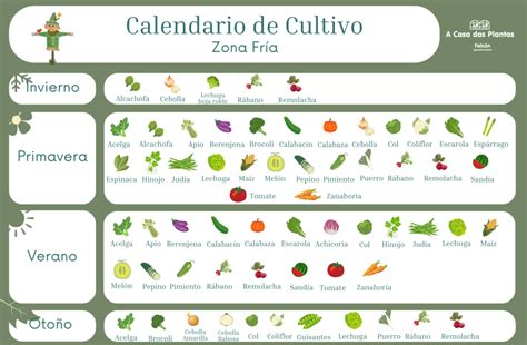 Calendario de fertilización para cultivo de cannabis en exterior
