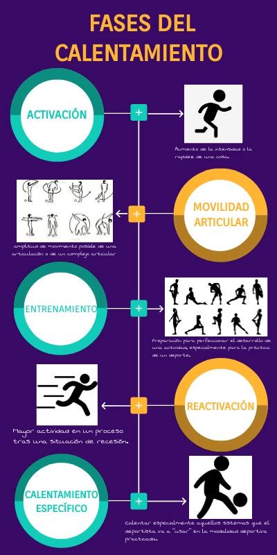 Esquema visual de las fases de un calentamiento pre-partido