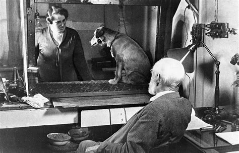 Foto histórica del laboratorio de Pavlov con perros
