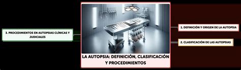 Esquema de las distintas definiciones y criterios para la autopsia fetal