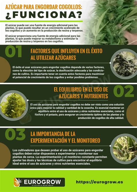 Tabla comparativa de diferentes engordadores de cogollos y sus componentes principales