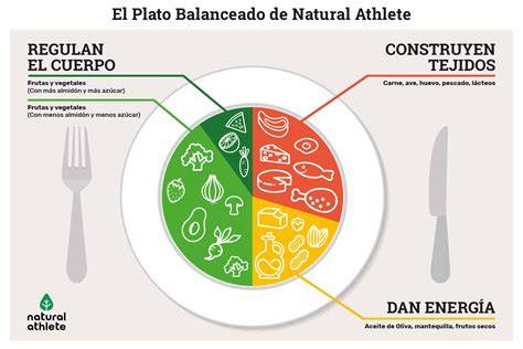 Infografía sobre un plato balanceado para niños de 2 a 3 años, mostrando las proporciones de proteínas, cereales, frutas, verduras y grasas saludables