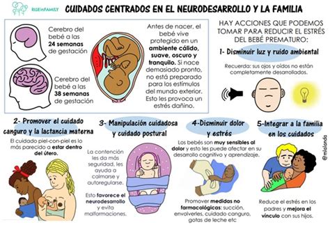Diagrama de las áreas de intervención de los cuidados centrados en el desarrollo