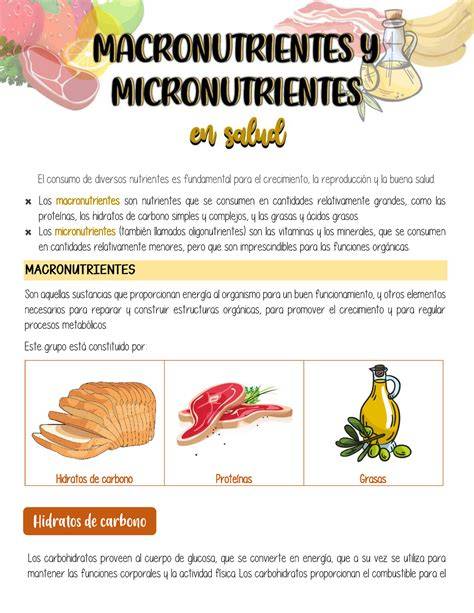 Infografía: Macronutrientes y Micronutrientes esenciales para el cannabis