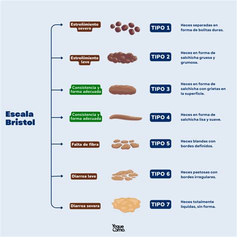 Infografía que ilustra la escala de consistencia de las heces y la frecuencia saludable de evacuación en bebés.