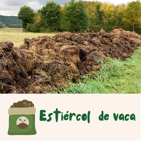 Estiércol de vaca fresco y estiércol de vaca compostado