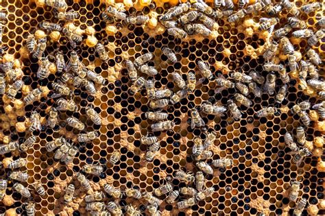 Esquema de la estructura hexagonal del papel panal y cómo se estira