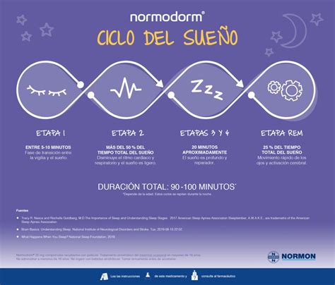 Infografía que muestra los ciclos de sueño REM y no REM en bebés