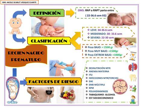 Esquema sobre la atención integral pediátrica, desde el recién nacido hasta la etapa adolescente.