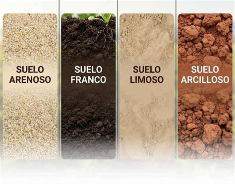 Infografía comparativa: preparación de suelos arenosos vs. arcillosos antes de la siembra.