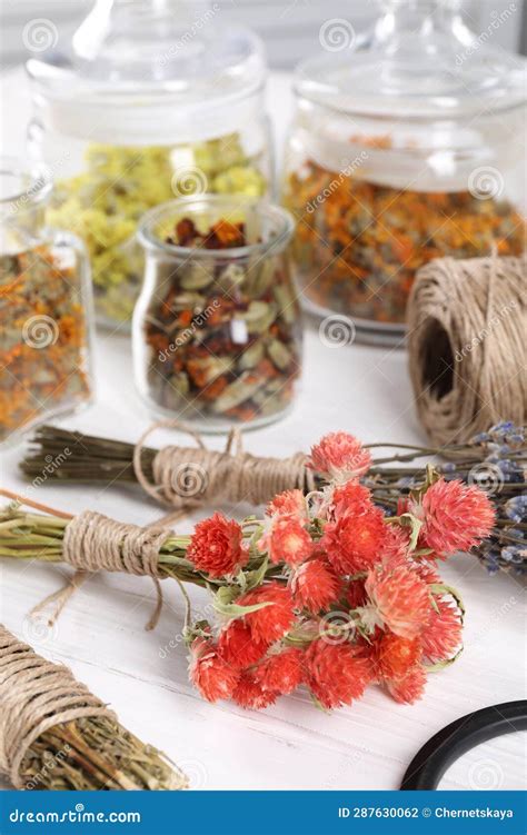 Diferentes hierbas medicinales sobre una mesa, algunas frescas y otras secas