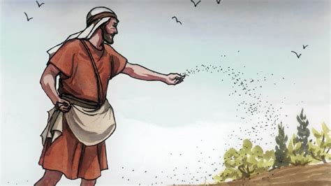 Ilustración de la parábola del sembrador, con diferentes tipos de tierra y resultados