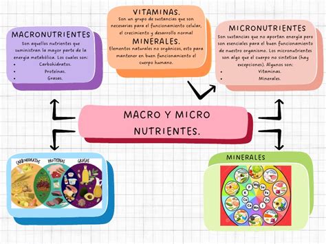Esquema básico de la nutrición: Macronutrientes (N-P-K) y Micronutrientes esenciales para el desarrollo radicular y foliar.