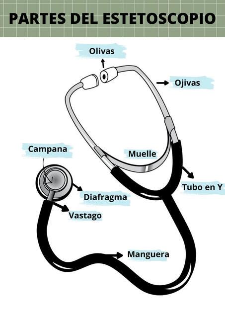 Diagrama de las partes de un estetoscopio pediátrico