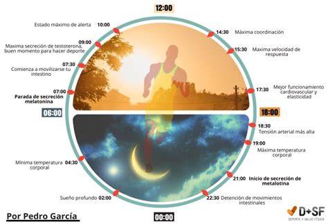 infografía sobre el ciclo circadiano y la influencia de la luz en el desarrollo del bebé