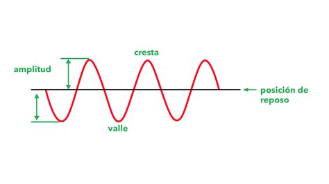 Diagrama mostrando la amplificación del sonido dentro del útero materno