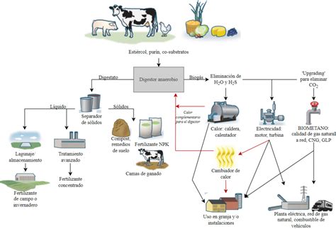 Esquema del proceso de obtención de fertilizantes a partir de purines y residuos vegetales.