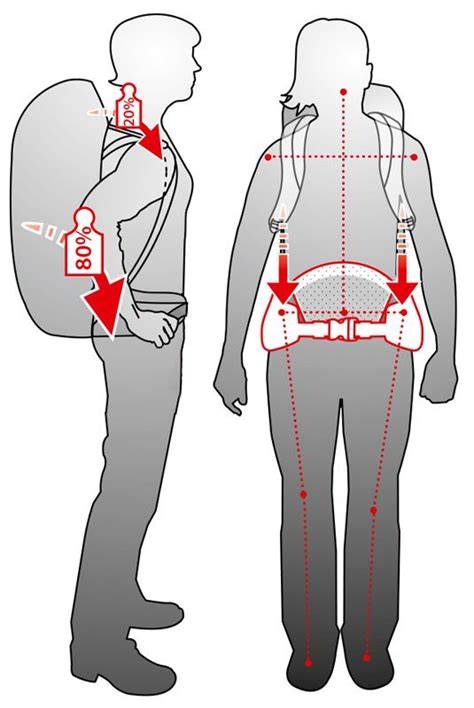 Esquema de los puntos de ajuste en una mochila ergonómica: cinturón lumbar, tirantes regulables y panel ajustable