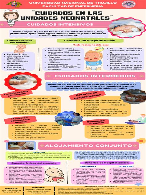 Infografía sobre los servicios de una unidad neonatal de cuidados intensivos