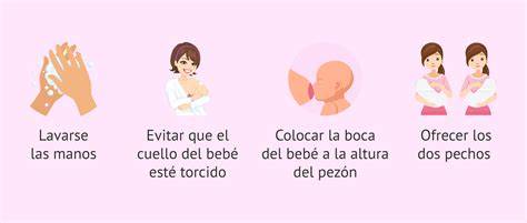 Esquema mostrando los diferentes mecanismos de acceso al pecho en la ropa de lactancia (cremalleras, solapas, botones)