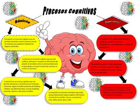 Infografía explicativa sobre los beneficios cognitivos del Lince: memoria visual, vocabulario, categorización y reflejos