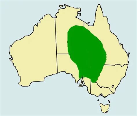 Mapa de distribución del dragón barbudo en Australia