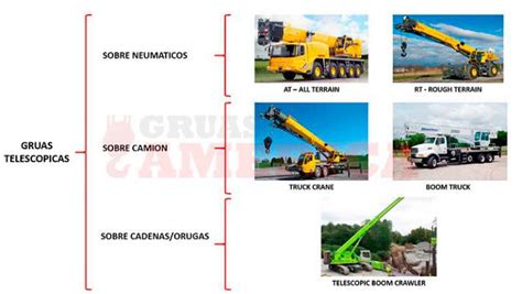 Infografía comparativa de diferentes tipos de grúas de bipedestación y sus usos.