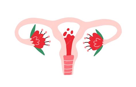 Esquema del útero contrayéndose durante la menstruación