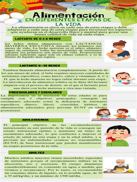 Infografía mostrando las diferentes etapas de transformación de una cuna convertible