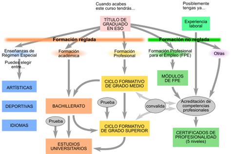 Infografía detallando el itinerario formativo para ser matrona: Grado en Enfermería, preparación EIR, especialización y salidas laborales.