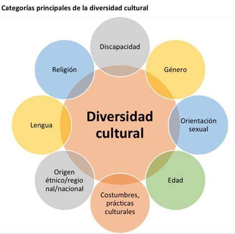 Esquema sobre la diversidad del uso de pañales: causas médicas, funcionales y preferencias personales.