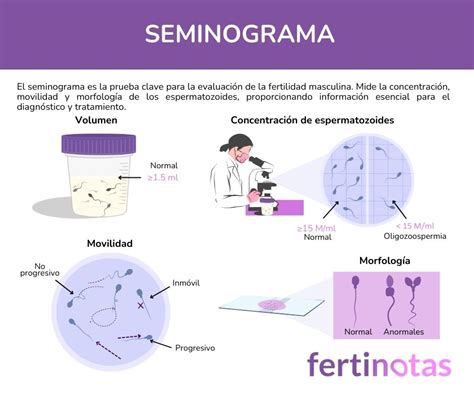 Infografía detallando el proceso de un seminograma y los parámetros clave a analizar.